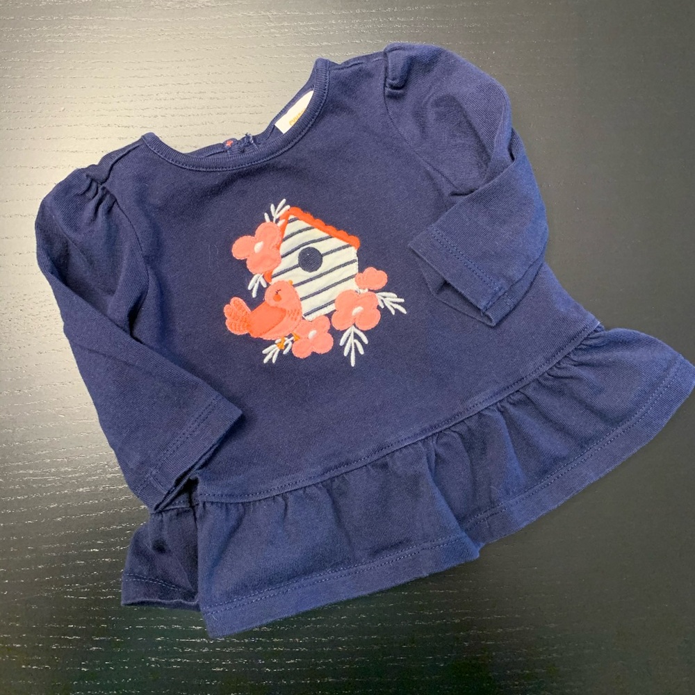 $3.00 💝 Gymboree 0-3m Birdhouse Embroidered Top